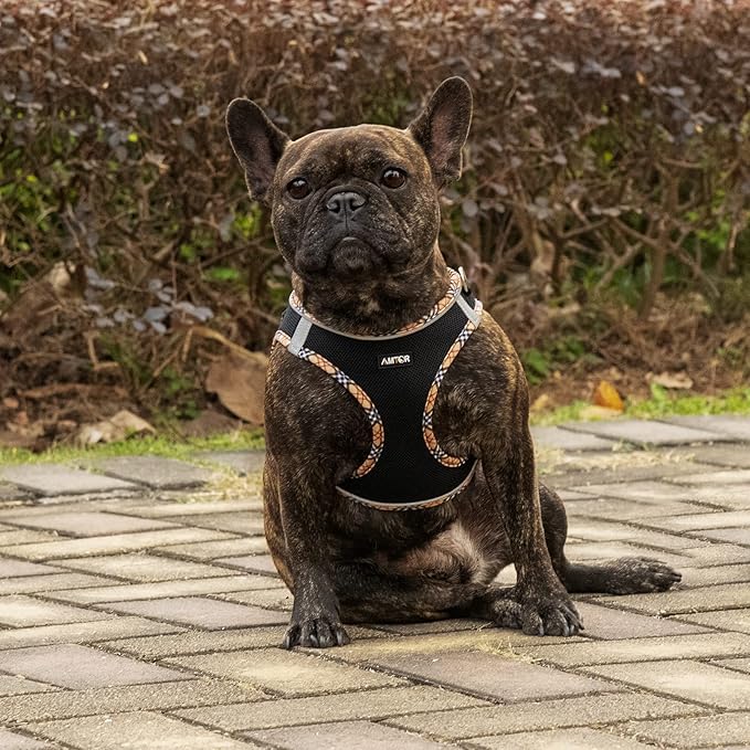 AMTOR Small Dog Harness with Leash Set, No Escape Easy Walk Puppy Harnesses for Training Walking, Step-in Reflective Soft Dogs Vest for XS S Medium Extra-Small Large Sized Dog(BlackYellow,L)