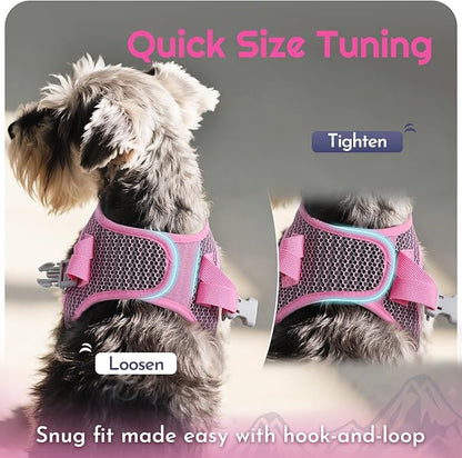 Eagloo Small Dog Harness and Leash Set, Step in Puppy Vest with Breathable Soft Mesh, Walking Reflective Pet Harness for Small Dogs, Pink, XS