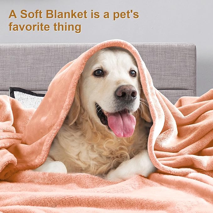 DREAMNINE Pack of 10 Fuzzy Soft Fleece Throw Blanket for Couch Sofa 50" x 60", Decorative Solid Lightweight Velvet Blankets for Chair, Cozy Accent Shaggy Plush Flannel Blanket for Bedroom, Peach