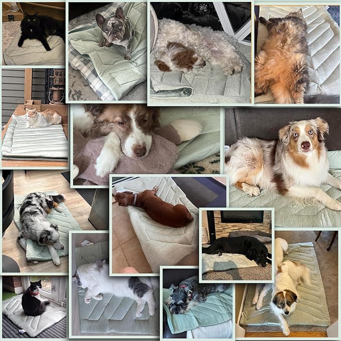 Cooling Mat for Dog,Dog Cooler Blanket for Crate, Summer Dogs Bed Pad, Washable Anti-Slip Pet Mats for Large Medium Dogs Sleeping, Multi-Use Kennel Pad for Floor Car Sofa