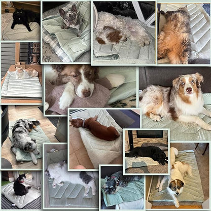 Cooling Mat for Dog,Dog Cooler Blanket for Crate, Summer Dogs Bed Pad, Washable Anti-Slip Pet Mats for Large Medium Dogs Sleeping, Multi-Use Kennel Pad for Floor Car Sofa