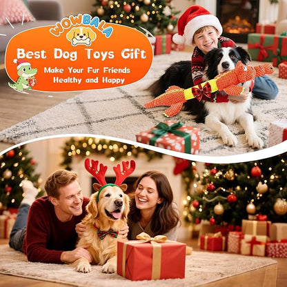 WOWBALA Interactive Tug of War Dog Toys for Small to Large Breeds - Squeaky Puppy Toys with Crinkle Paper, Stuffed Chew Toys to Keep Them Busy, Training Reward Gift for Dogs (Orange)