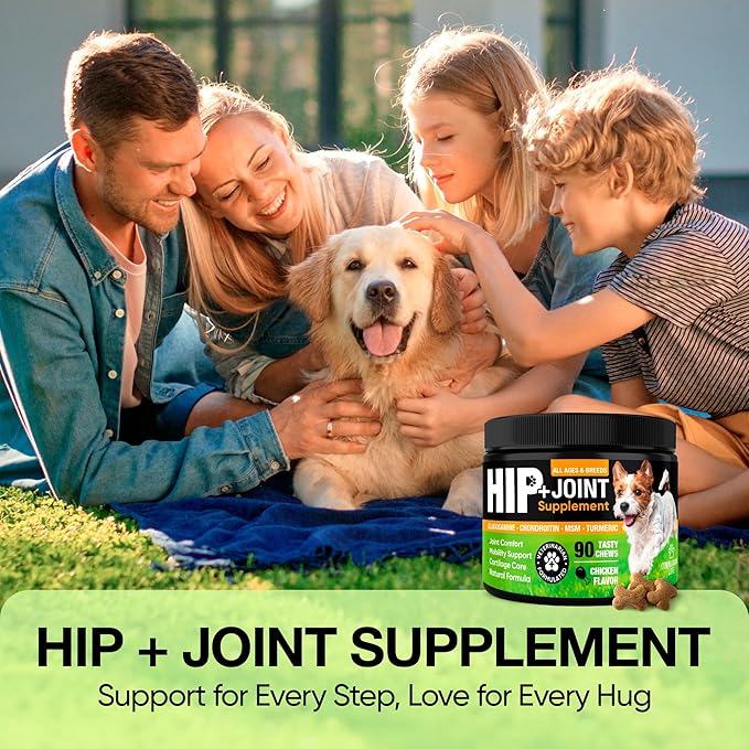 Glucosamine for Dogs – Hip and Joint Supplement Chews for Small, Medium & Large Dogs – Joint Pain & Mobility Support – Soft Chews for Pain and Inflammation Relief