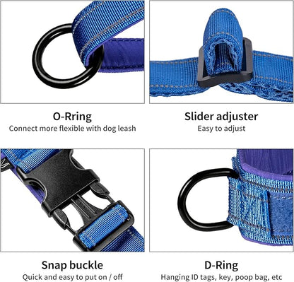 Annchwool No Pull Dog Harness with Padded Handle+5 Ft Leash,Reflective Strip Escape Proof and Quick Fit to Adjust Dog Harness,Easy for Training Walking for Small & Medium and Large Dogs(Blue-Set,S)