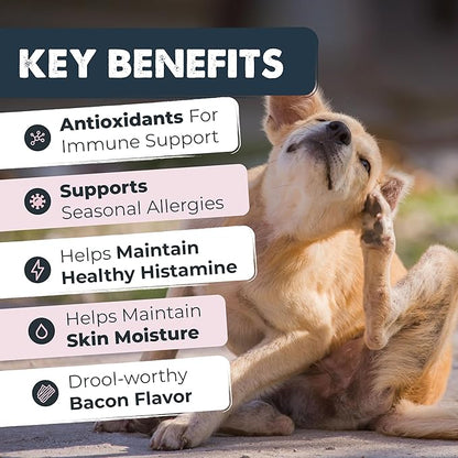 Mighty Paw Dog Allergy Chews — Anti-Itch & Immune Support, 120ct | Omega 3, Quercetin & Turmeric | Vet Formulated | Made in USA | Skin & Coat Supplement for Dogs