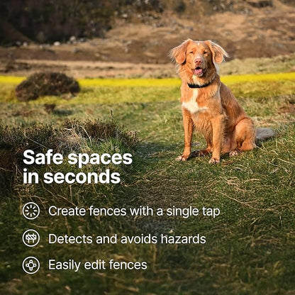 Halo Collar 5 Wireless Dog Fence & GPS Dog Collar, Keep Your Dog Safely Contained Outdoors with App-Controlled Boundaries and Real-Time Tracking, One Size, Sunburst