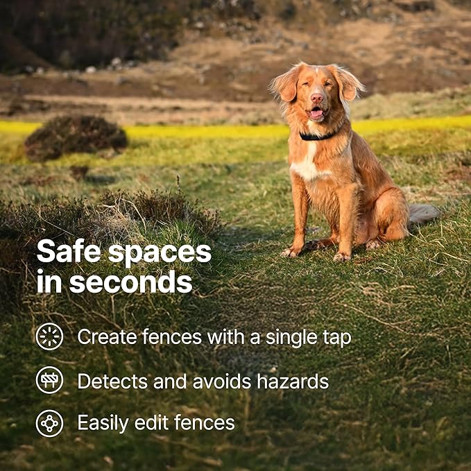Halo Collar 5 Wireless Dog Fence & GPS Dog Collar, Keep Your Dog Safely Contained Outdoors with App-Controlled Boundaries and Real-Time Tracking, One Size, Graphite
