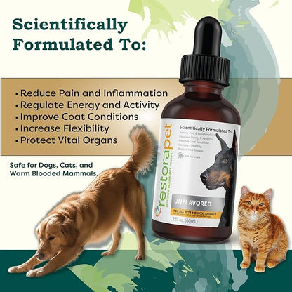 RestoraPet 1-Pack Dog & Cat Unflavored Liquid Multivitamin | Dog Arthritis Pain Relief | Hip&Joint Vitamins for Dogs | Anti Inflammatory Supplement for Dogs & Cats | Organic & Non-GMO, Vet Approved
