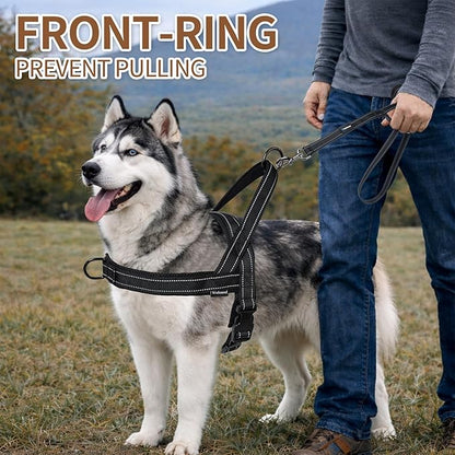 No Pull Dog Harness and Leash Set-Reflective Vest with Handle&5FT Dog Leash with Car Seatbelt Clip,Breathable Mesh&Quick Fit Dog Harness Easy for Medium Large Dogs Training Walking(Black,XL)