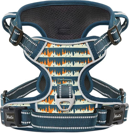 HEELE Dog Harness, No Pull Adjustable Padded Reflective Harness for Small Medium Large Dogs with Handle for Walking Training, Flower-Sunset Valley, M