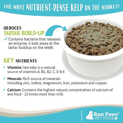 Raw Paws Organic Kelp Powder for Dogs & Cats (16-Ounce) - Supports Thyroid, Digestive & Immune Health - Dried Sea Kelp for Dogs - Seaweed Powder Supplement
