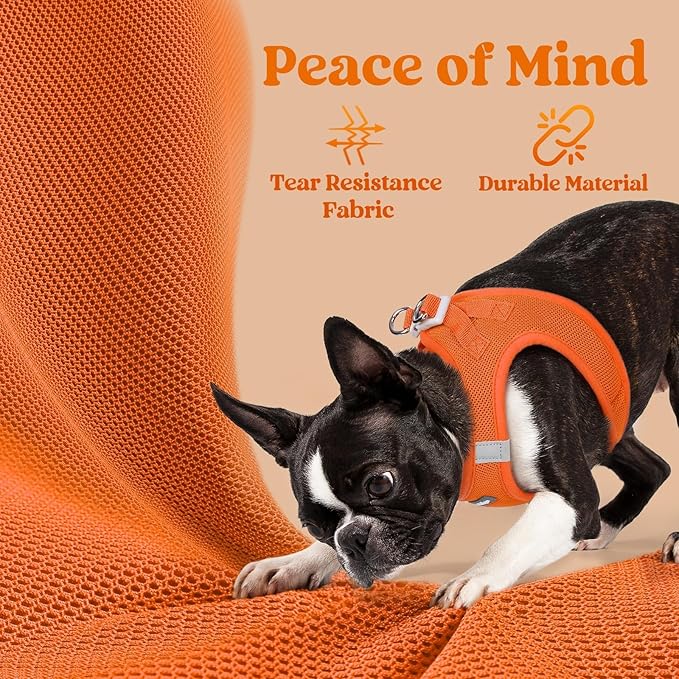 rabbitgoo Small Dog Harness, Step-in Soft Mesh Puppy Vest with Safety Buckle, Breathable Reflective Pet Harness for Extra Small Dogs, Orange XXS