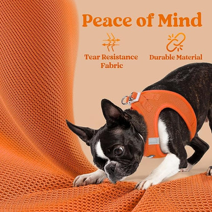 rabbitgoo Small Dog Harness, Step-in Soft Mesh Puppy Vest with Safety Buckle, Breathable Reflective Pet Harness for Small Sized Dogs, Orange M