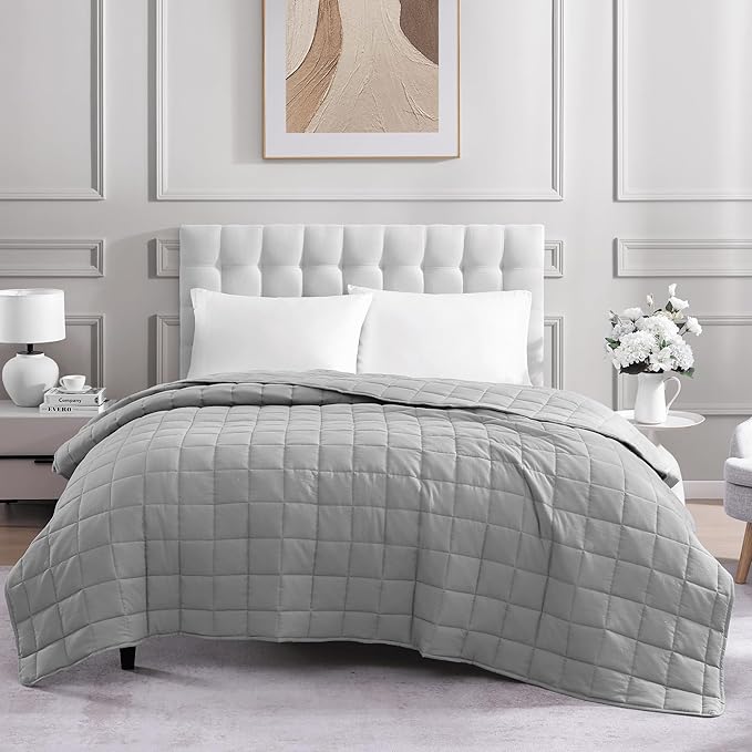 Casa Platino Premium Microfiber Down Alternative Quilted Blanket - Lightweight All Season Queen Size - Silver