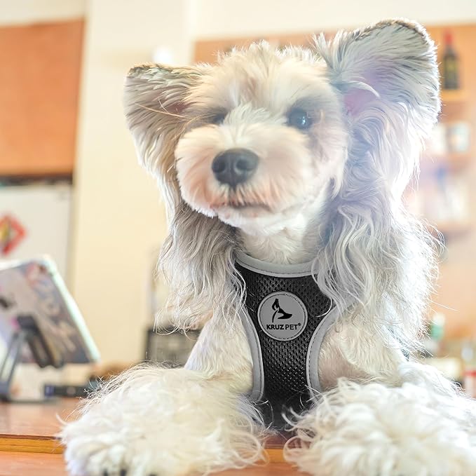 Kruz Dog Harness (Chest 13.5"-14", Weight 4–6 lbs) Athletica Adjustable Heavy Duty No Choke Puppy Vest for Small Dogs Lightweight Air Mesh, Reflective, Puppy Essentials – Black, X-Small