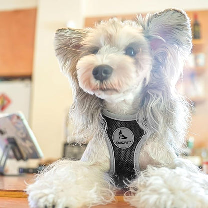 Kruz Dog Harness (Chest 13.5"-14", Weight 4–6 lbs) Athletica Adjustable Heavy Duty No Choke Puppy Vest for Small Dogs Lightweight Air Mesh, Reflective, Puppy Essentials – Black, X-Small