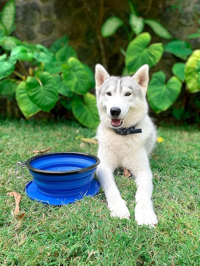 Tuff Pupper SuperBigSlurp Collapsible Dog Bowls | Two Pack Bowls | Extra Large Capacity | Portable, Food Safe, Odorless | Non-Toxic Silicone [Two Pack Blue Bowls 60oz]