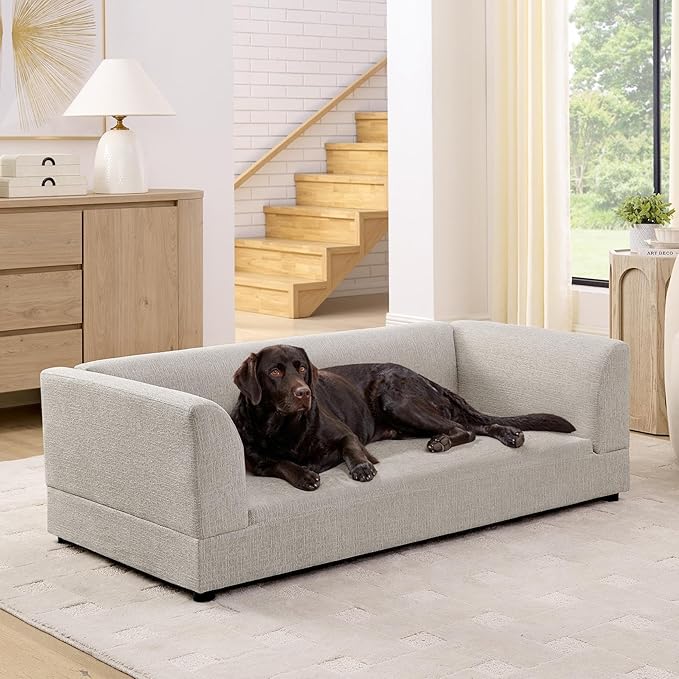 56.5" Dog Sofa Couch for Medium and Large Dogs with Backrest and Armrest, Memory Foam Dog Sofa Bed, Modern Elevated Pet Couch Bed with Legs for Dogs, Beige