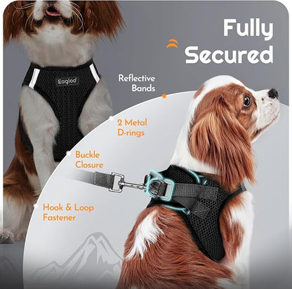 Eagloo Small Dog Harness and Leash Set, Step in Puppy Vest with Breathable Soft Mesh, Walking Reflective Pet Harness for Medium Small Dogs, Black, M