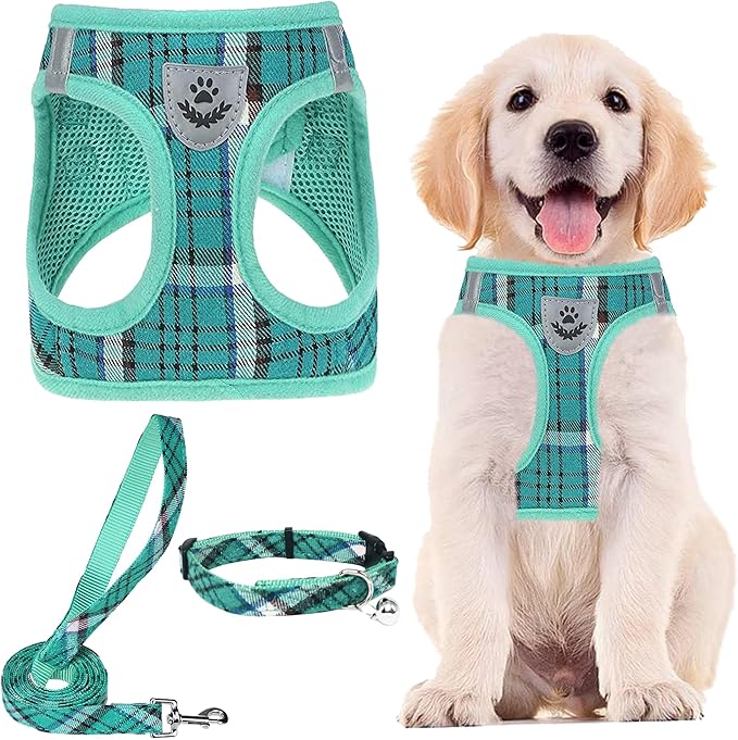 PUPTECK Adjustable Dog Harness Collar and Leash Set Step in No Pull Pet Harness for Small Medium Dogs Puppy and Cats Outdoor Walking Running, Soft Mesh Padded Reflective Vest Harnesses, Lake Green XS