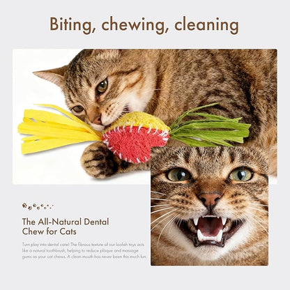 Mira's Pocket Natural Loofah Cat Toy with Feathers, Elastic Bouncing Chew Toy with Catnip & Bell, Self-Play Enrichment Toy for Indoor Cats to Relieve Boredom (Color Mixing)