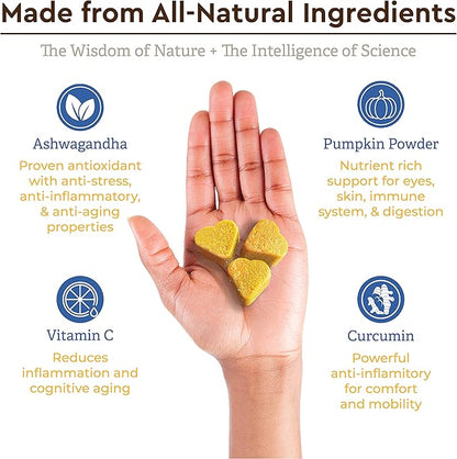 Super Multi-Vitamin Chew with Ashwagandha. Multivitamin for Joint, Skin, Gut, Brain, Bone, Heart & Immune Health - All Natural Ashwagandha, Curcumin, Pumpkin Powder & Vitamin C (90 Chews).