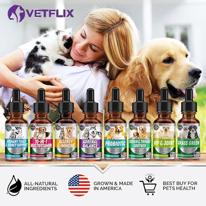 10 in 1 Pet Vitamins for Dogs, Cats, Puppies and Kittens - Made in USA - Glucosamine and Multivitamin Supplement - Joint, Immune and Skin Health Support - 2 Fl Oz