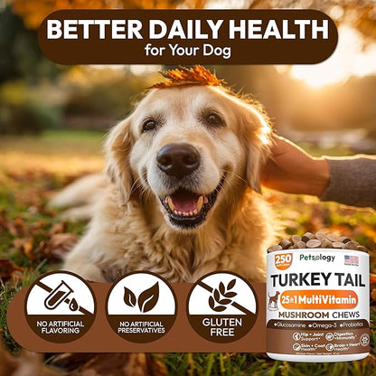Turkey Tail Mushroom for Dogs - 250 Chews - Lion’s Mane - Shiitake - Reishi - Buddy Immune Support Guard - Lipoma Mushroom Supplement for Dogs Lumps and Bumps Glucosamine, Health Vitamins Multivitamin