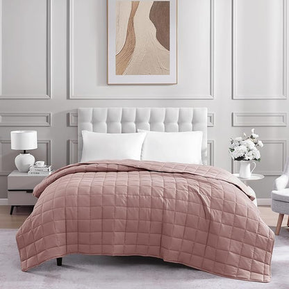 Casa Platino Soft Quilted Microfiber Down Alternative All Season Bed Blanket - Sepia Rose