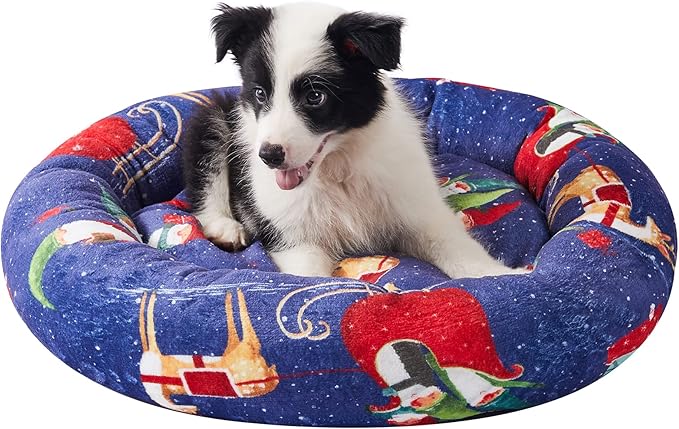Levtex Home - Gnome for The Holidays - 23in x 14in x 6in - Pet Bed - Playful Christmas Gnomes - Blue, Red, White, Green, Teal, Taupe - 100% Polyester Velour