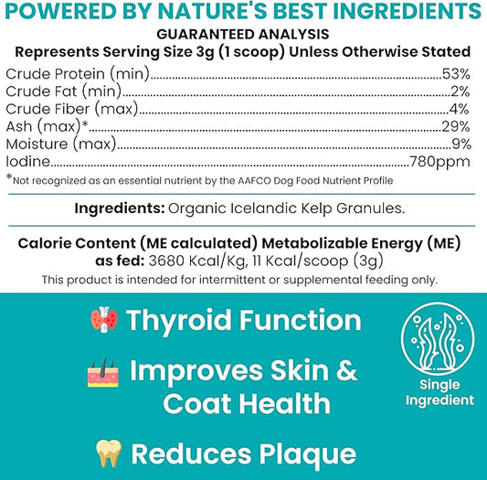 Kelp Supplement for Dogs - 16 oz of Kelp Powder Granules with 5cc Spoon - Good for Healthy Thyroid Function, Reduce Dental Plaque, and Skin Health - Made in the USA