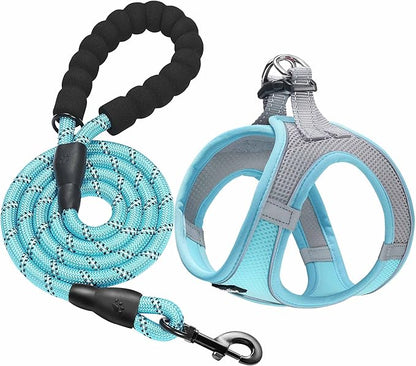 haapaw Dog Harness with Leash Set, No Pull Adjustable Reflective Step-in Puppy Harness with Thickened Padded Vest for Extra-Small/Small Medium Dogs