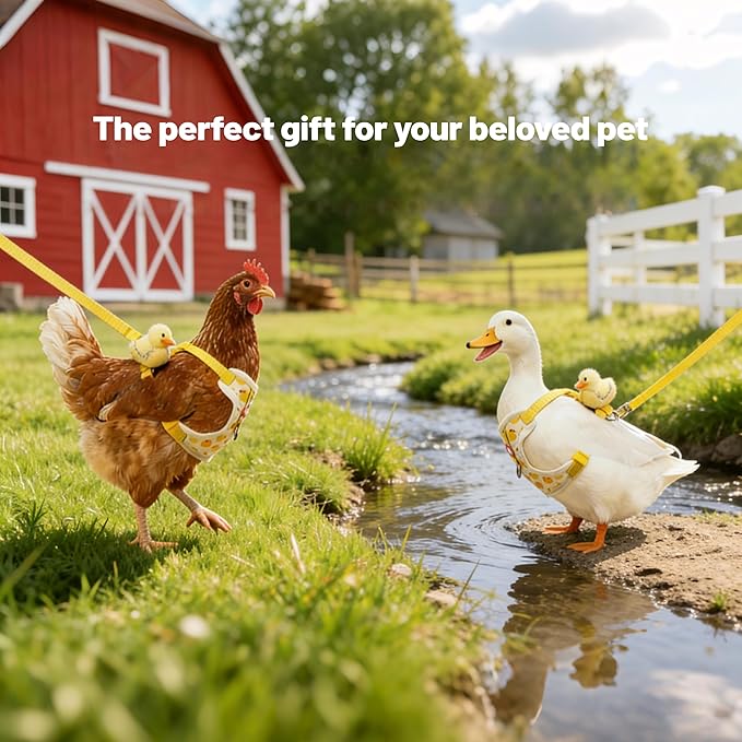 2Pcs Chicken Leashes and Harnesses Set, Adjustable Duck Leash with Elastic Breathable Pet Harness, Chicken Vest for Goose Duck Cat Hen Training Walking Strap Traction Rope