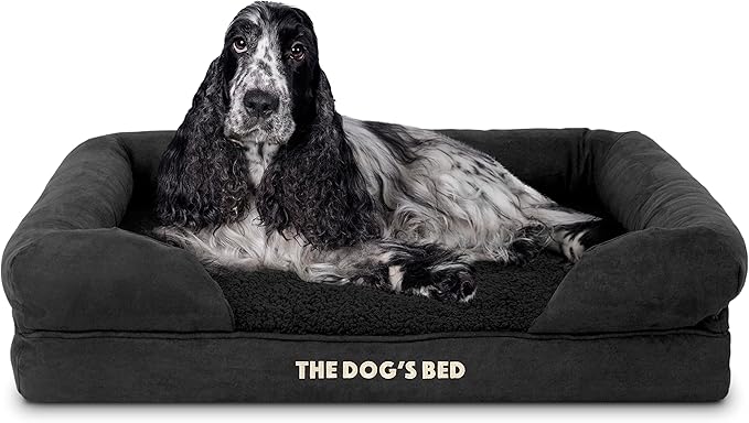The Dog’s Bed Orthopedic Memory Foam Dog Bed with Bolsters for Medium Dogs, Waterproof Washable Cover, Anti-Slip Base, Calming Surface – CertiPUR-Certified Foam, Plush Fabric, Black Plush, Medium