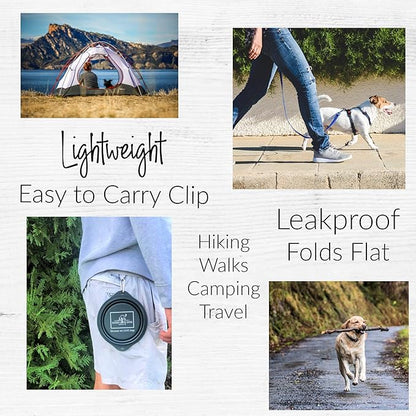 Lucky Love Dog Travel Dog Bowl, Collapsible Compact Water Dog Dish, Rose