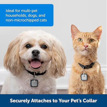 PetSafe SmartDoor Connected Pet Door Key - Provides Smart, Personalized Access for Your Dogs & Cats While Keeping Out Strays & Wildlife - Compatible with SmartDoor Connected Pet Door - Large