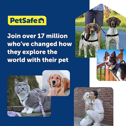 PetSafe Easy Walk Harness for Dogs - Pull-Free Walks - Patented Martingale Loop Design - Front Chest Leash Attachment - Comfort Straps - Breathable Harness Design - Medium/Large, Fawn