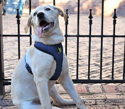EcoBark Dog Harness - Luxurious Soft Mesh - Eco-Friendly Over the Head Vest Harness - No Pull & No Choke Design - Padded Breathable Body Halter - for Large Breed Dogs (Navy, XXL)