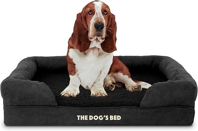 The Dog’s Bed Orthopedic Memory Foam Dog Bed with Bolsters for Large Dogs, Waterproof Washable Cover, Anti-Slip Base, Calming Surface – CertiPUR-Certified Foam, Plush Fabric, Black Plush, Large