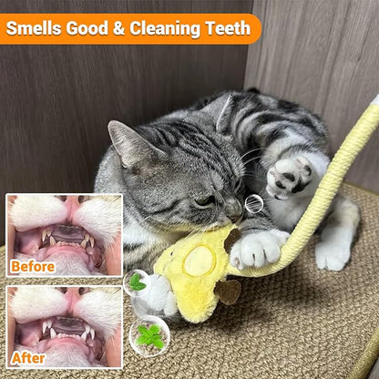 Kingtree Cat Toy Chew Ropes, 2 Pack Cotton Rope Cat Chew Toys Interactive Catnip Rope Toys for Indoor Cats Teeth Cleaning, Bite Resistant Chew Ropes Without Wire