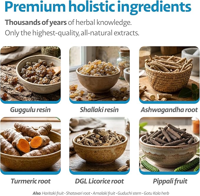 Hip and Joint Chews for Dogs with Stiff Joints & Mobility – Natural Boswellia, Ashwagandha & Turmeric Herbal Holistic Support – Pork Flavor – 90 Count