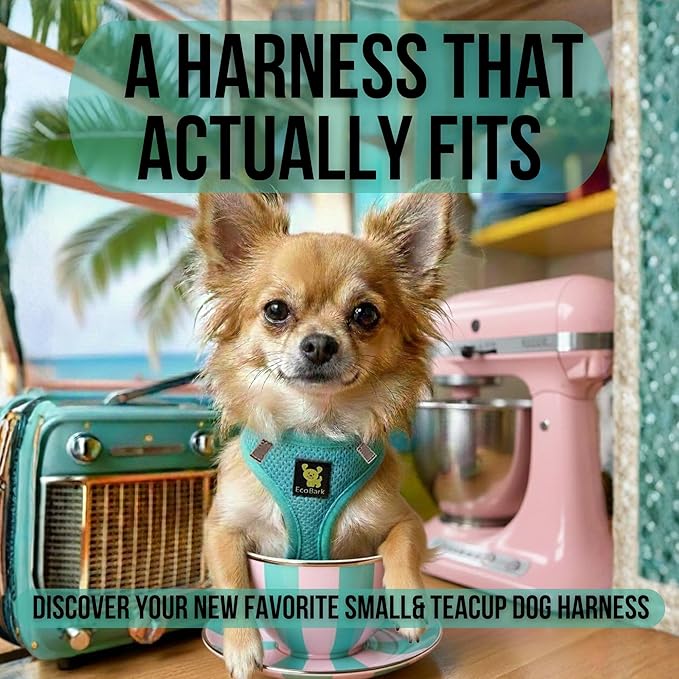EcoBark Step in Dog Harness - Eco-Friendly Dog Harnesses for Small and Medium Breed Dogs - Reflective and Adjustable Body Halter Vest - Soft Mesh Toy Breed Harness (Mint, XL)