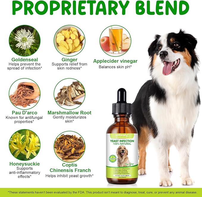 Yeast Infection Treatment for Dogs, Natural Yeast Treatment for Dog Ear Infection & Allergy Relief, Itchy Skin Relief, Skin & Coat Support, Dog Herbal Supplement - Dogs Ear Care & Immune Support, 60ml