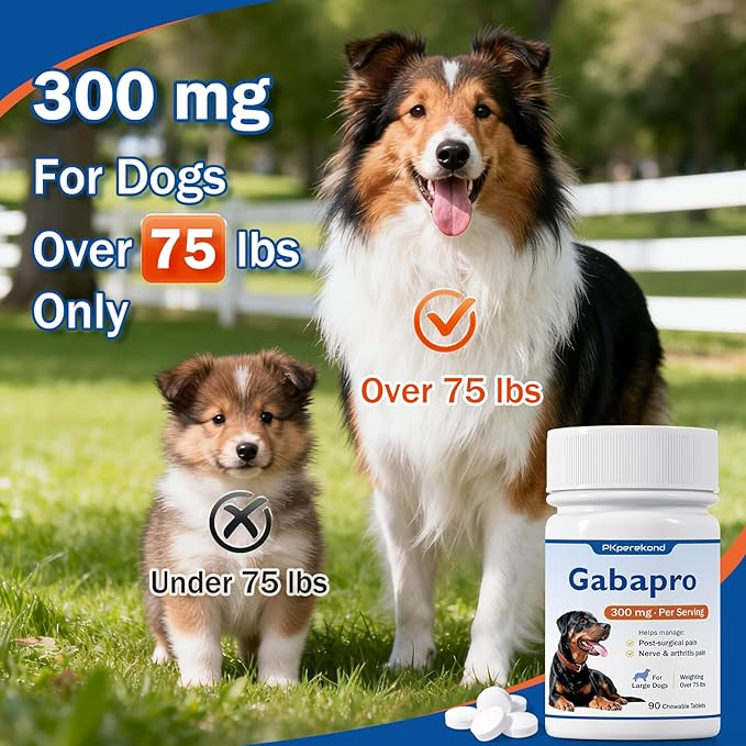 Gabapro for Large Dogs 300mg, Relieves Post-Surgical Discomfort, Dog Pain Relief, Joint Support, Over 75 lbs, 90 Tablets