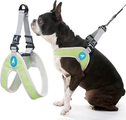 Gooby Simple Step in III Harness - Green, X-Small - Small Dog Harness with Scratch Resistant Outer Vest - Soft Inner Mesh Harness for Small, Medium Dogs