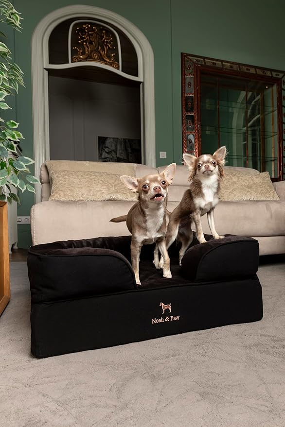 NOAH & PAW Dog Bed, 28x23x11 Inch, Orthopedic Dog Beds for Medium Size Pets, Eggshell Memory Foam Infused with Cooling Gel, Inner Cover, Waterproof, Machine Washable (Denim Sofa Collection)