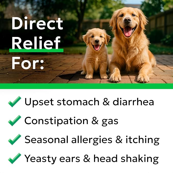 Bark&Spark Dog Probiotics & Digestive Enzymes (Gut Health) Allergy & Itchy Skin - Pet Diarrhea Gas Treatment Upset Stomach Relief, Digestion Health Prebiotic Supplement Tummy Treat (180Ct Chicken)