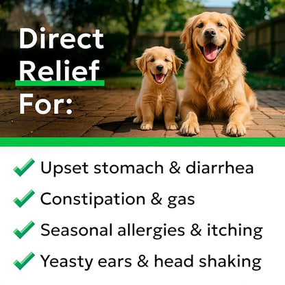 Bark&Spark Dog Probiotics & Digestive Enzymes (Gut Health) Allergy & Itchy Skin - Pet Diarrhea Gas Treatment Upset Stomach Relief, Digestion Health Prebiotic Supplement Tummy Treat (180Ct Chicken)