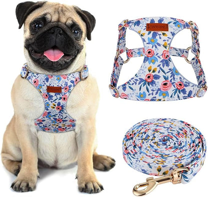 CHEDE No Pull Floral Pattern Dog Harness- Lightweight and Soft Harness, Adjustable Small Dog Harness and Leash Set, with Dog Leash, Suitable for Puppy Small and Medium-Sized Dog (M, Blue Rose)