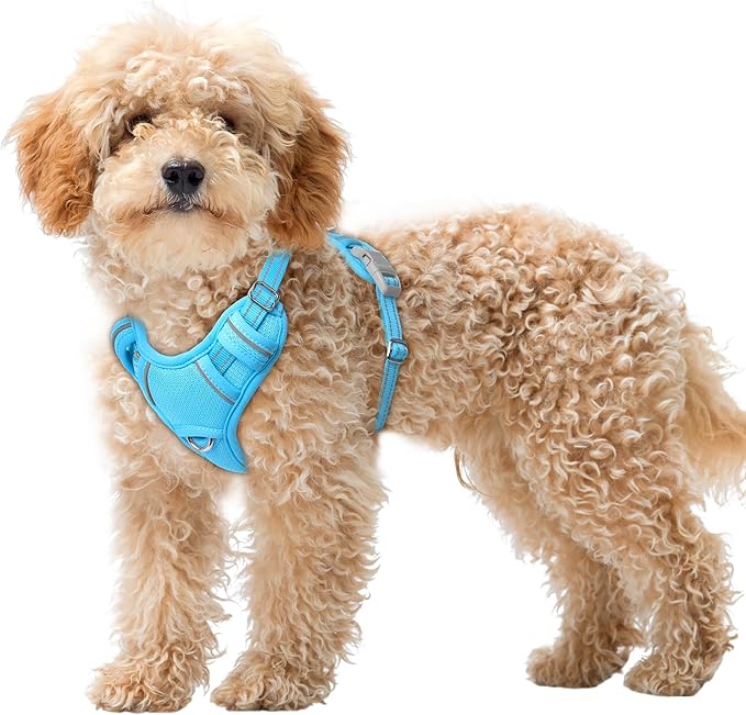 BARKBAY No Pull Dog Harness Large Reflective Dog Harness with Front Clip and Easy Control Handle for Walking Training Running with ID tag Pocket(Blue,XS)
